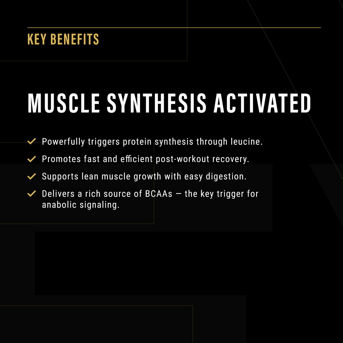 Anabolic Protéine
